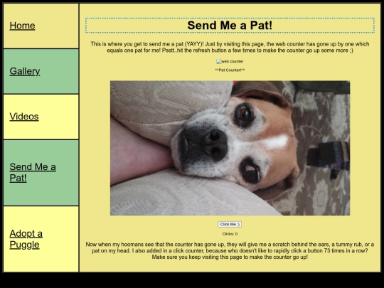 Final+Project/sendmeapat screenshot