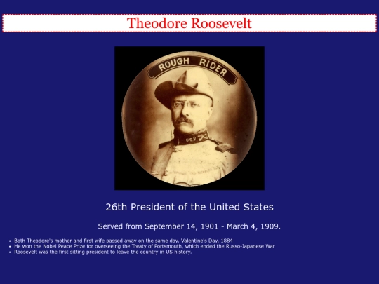 profile2 screenshot