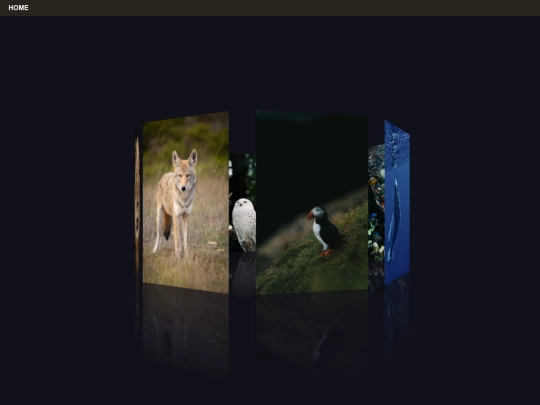 wildlife screenshot