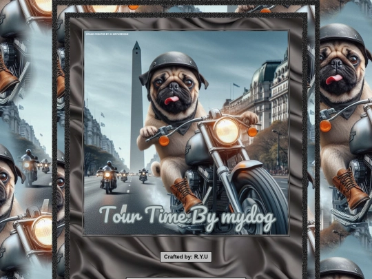 mydog-tour-v2 screenshot
