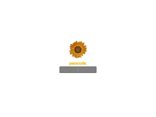acceso screenshot