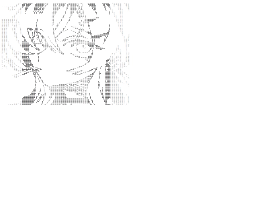 api/m5rcel screenshot