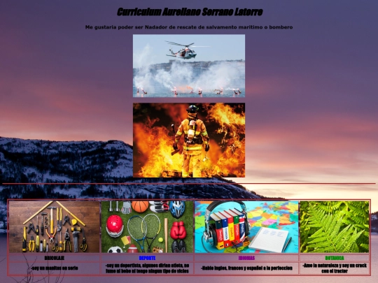 curriculumvitae2 screenshot