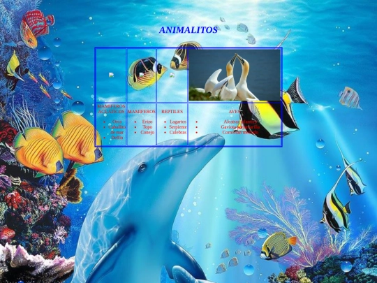 fauna acuatica screenshot
