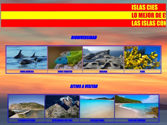 paginawebultima screenshot