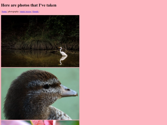 photography screenshot