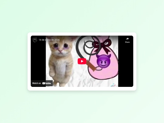 video screenshot