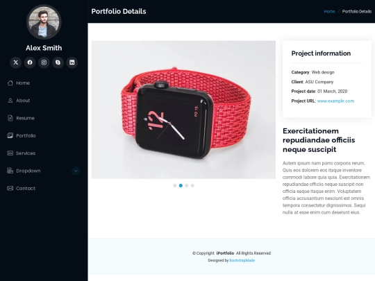 portfolio-details screenshot