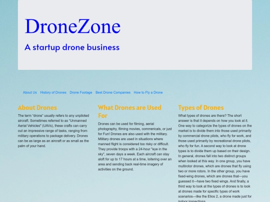 BestDroneCompanies screenshot