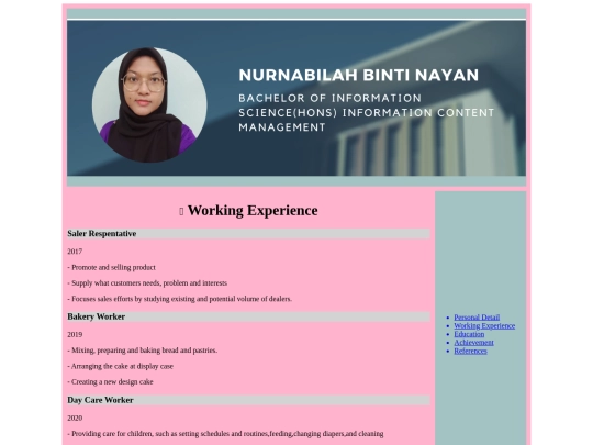 workingexperiences screenshot