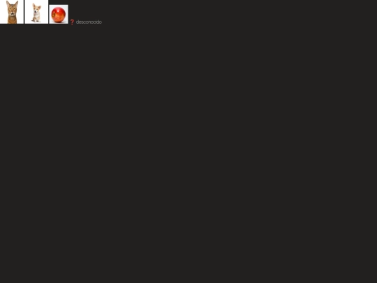 iconos screenshot