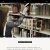 Russian Language Public Library avatar