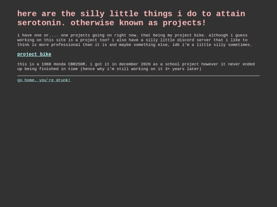 projects screenshot