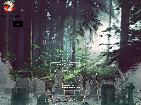 introcopy screenshot