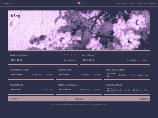 blog screenshot