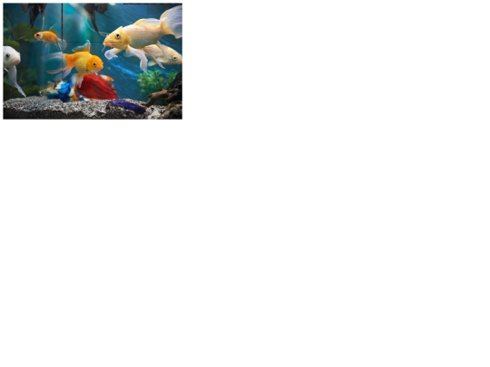 Puzzle screenshot