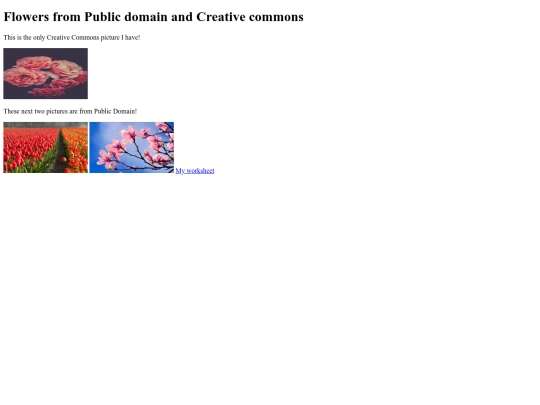 Starter-Gallery-Assignment screenshot