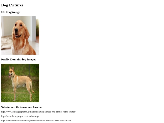 Dog pictures screenshot
