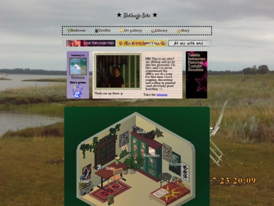 home screenshot