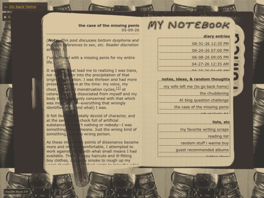 notebook/notes/the-case-of-the-missing-penis screenshot