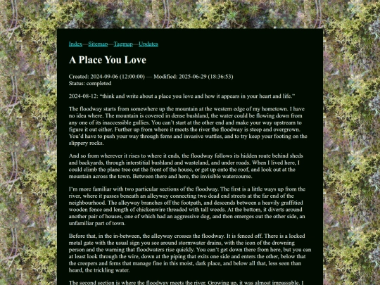 20240906.a_place_you_love screenshot