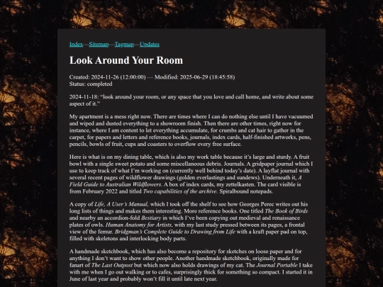 20241126.look_around_your_room screenshot