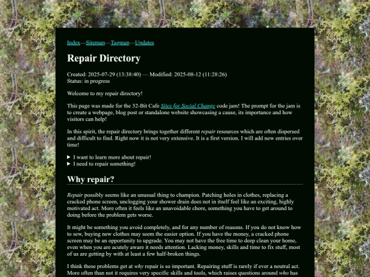 repair_directory screenshot