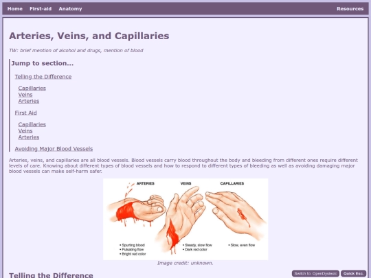 Risk/BloodVessels screenshot