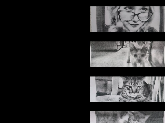 fotosblancoynegro screenshot