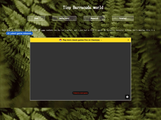media screenshot