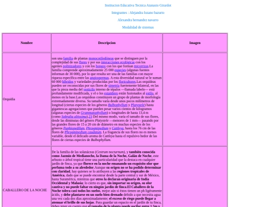 pagina8 screenshot