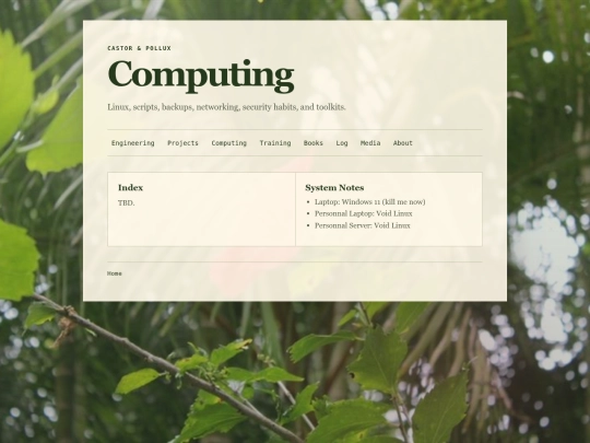 computing screenshot