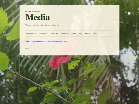 media screenshot