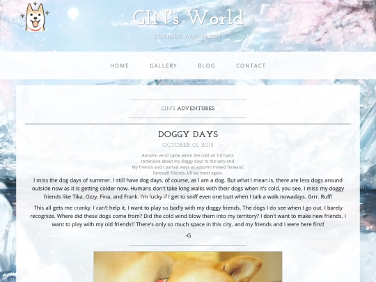 blog screenshot