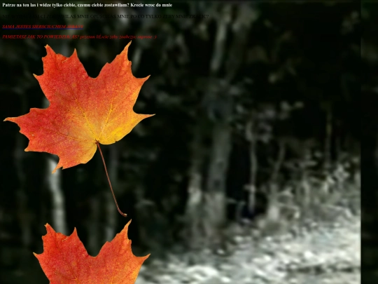 Pages/kaszebekret screenshot