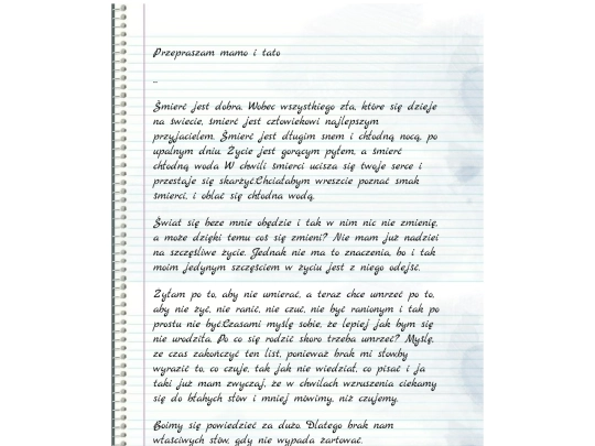 Pages/przeprasza screenshot