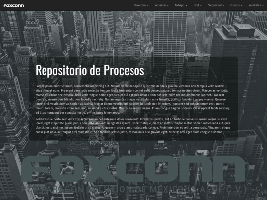 pagina_repositorio screenshot