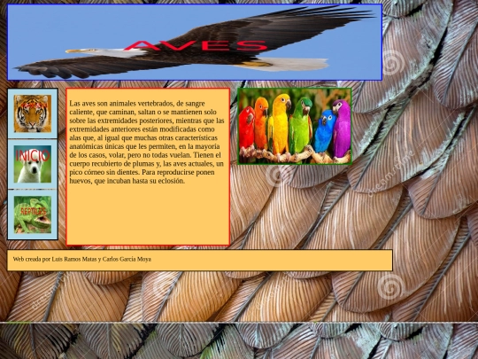 Avesv3 screenshot