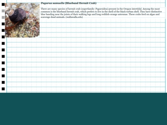 intertidalfishesproject/hermit screenshot