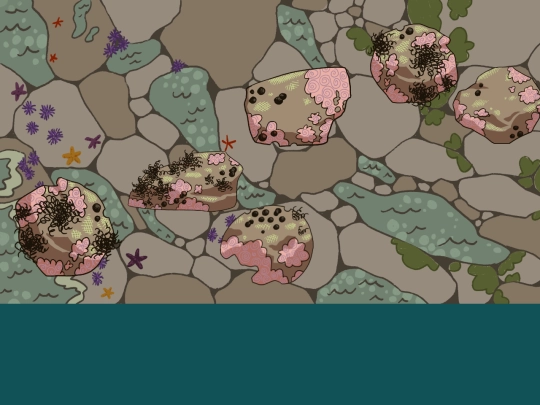 intertidalfishesproject/rockflipper screenshot