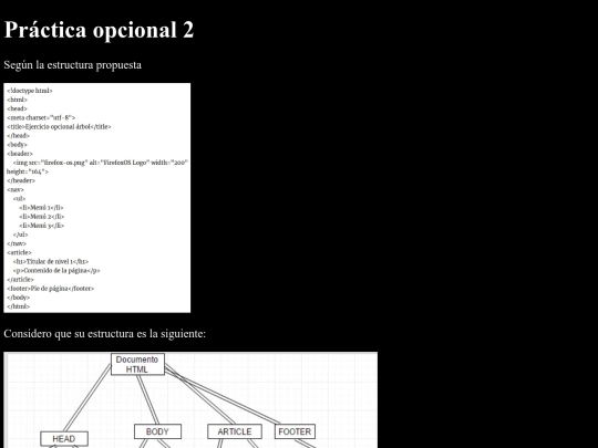 opcional2 screenshot