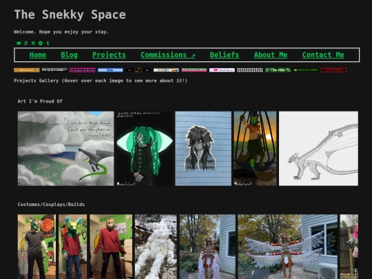 projects screenshot