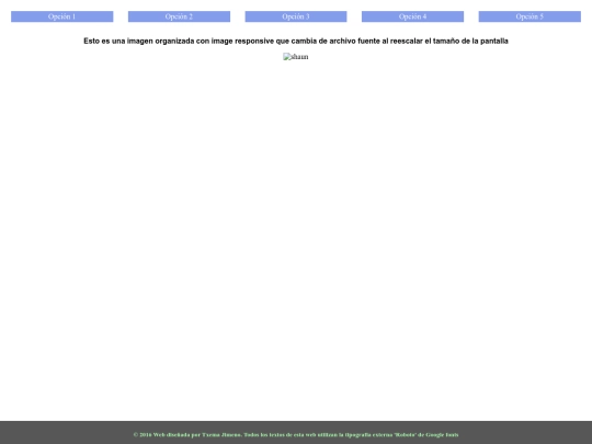 opcion4 screenshot