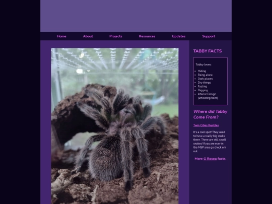 tabbyspace screenshot