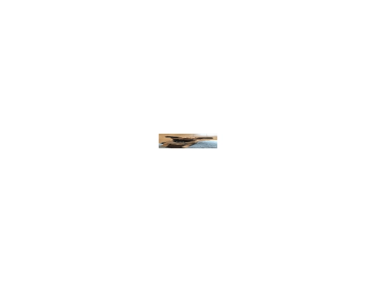 Floating_images/floatingimage screenshot
