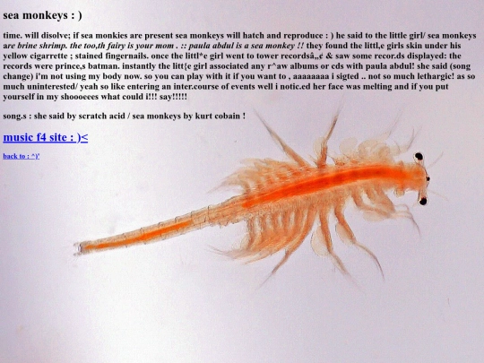 seamonkeys screenshot