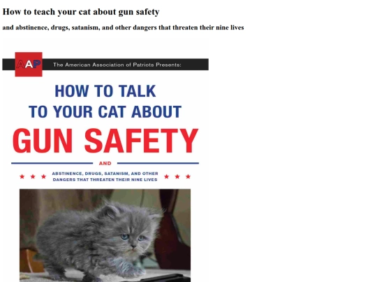 gunsafety-for-cats screenshot