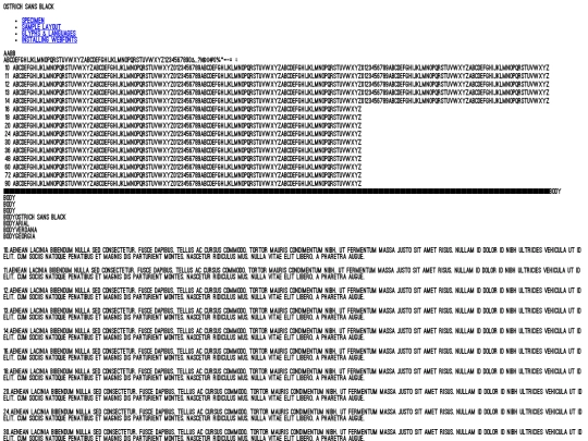contactform/ostrich-black-demo screenshot
