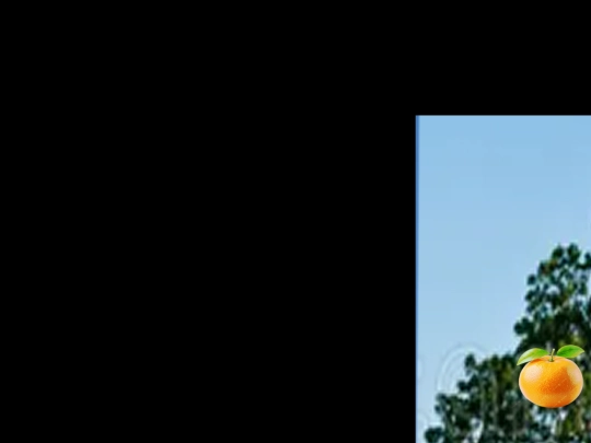 arboldenaranjas screenshot
