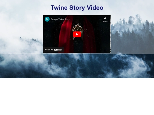Twinevideo screenshot